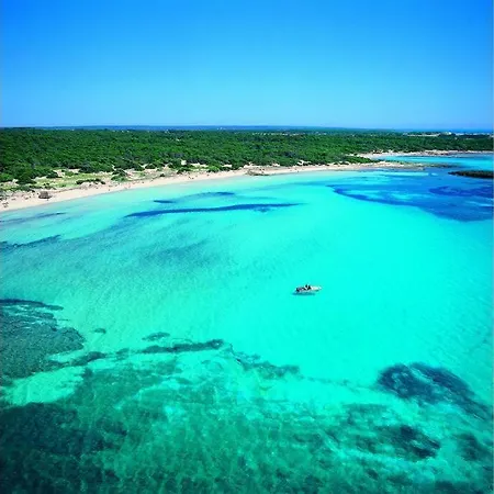 Apartment New On The Colonia de Sant Jordi